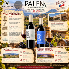 Rượu Vang Đỏ Palena Cabernet Sauvignon Reserva - Chile - Cabernet Sauvignon - 14% - 750ml
