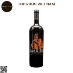 Rượu Vang Đỏ Marius - Ý - Blended - 14.5% - 750ml