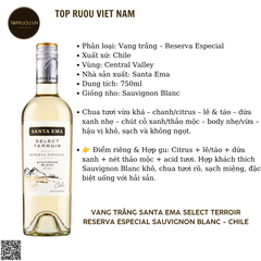 Rượu Vang Trắng Santa Ema - Chile - Sauvignon Blanc - 12.5% - 750ml