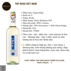 Rượu Vang Trắng Tini Grecanico Pinot Grigio Terre Siciliane - Ý - Grecanico, Pinot Grigio - 12% - 750ml