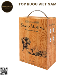 Rượu Vang Đỏ Túi Santo Molin - Chile - Cabernet Sauvignon - 13.5% - 3000ml