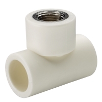 vesbo-te-ren-trong-ppr