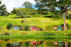 Khám Phá New Zealand Mới Lạ