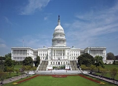 ĐÓN MÙA HOA ANH ĐÀO ĐẸP LỘNG LẪY TẠI WASHINGTON DC 2024