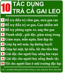 Cao Cà Gai Leo quảng trị cao cấp 100% nguyên chất (hộp 100gr)