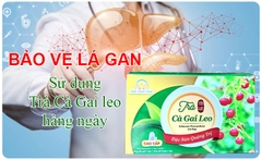 Trà cà gai leo Tịnh Tâm cao cấp hộp 20 túi lọc
