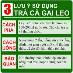 Trà cà gai leo Tịnh Tâm cao cấp hộp 20 túi lọc