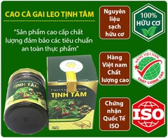 Cao Cà Gai Leo quảng trị cao cấp 100% nguyên chất (hộp 100gr)