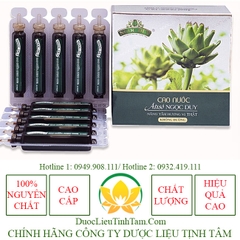 Cao Nước Atiso Không Đường cao cấp 1 hộp 10 ống