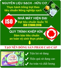 Trà Lạc tiên quảng trị lcao cấp (1 hộp 20 túi lọc)