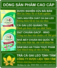 Trà cà gai leo Tịnh Tâm cao cấp hộp 20 túi lọc