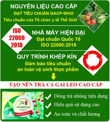Trà cà gai leo Tịnh Tâm cao cấp hộp 20 túi lọc