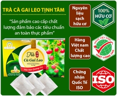 Trà cà gai leo Tịnh Tâm cao cấp hộp 20 túi lọc