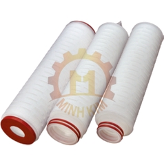 Hộp lọc xếp nếp DHPVDF - Pleated Filter Cartridge DHPVDF Series