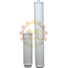 Hộp lọc cartridge tốc độ cao DHSF - High Flow Pleated Filter Cartridges DHSF Series