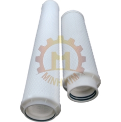 Hộp lọc cartridge tốc độ cao DHSF - High Flow Pleated Filter Cartridges DHSF Series