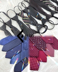 Cà Vạt Nam Họa Tiết Thắt Sẵn Bản 6cm C020