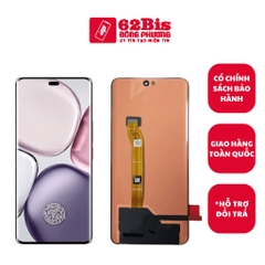 Màn Hình Huawei Honor X9C / BRC-NX1 (TFT)