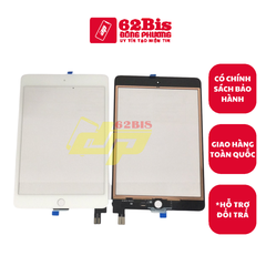 Cảm Ứng Ipad Mini 5 + Home (Zin)