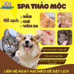 Combo Tắm - Cắt thảo mộc trọn gói cho Chó