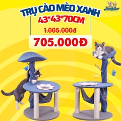 Trụ cào mèo xanh có võng 43*43*70cm