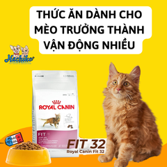 Thức Ăn Hạt Dành Cho Mèo Trưởng Thành Royal Canin Fit 32