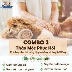 Combo Tắm thảo mộc trọn gói cho Mèo