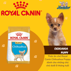 Thức ăn cho chó con dưới 12 tháng tuổi Royal Canin Chihuahua Puppy 0.5kg &1.5kg