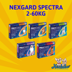 NEXGARD SPECTRA - Viên uống trị nội ngoại ký sinh trùng dành cho chó