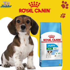 Thức ăn cho chó con cỡ nhỏ ROYAL CANIN Mini Puppy