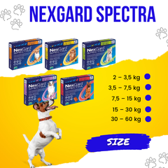 NEXGARD SPECTRA - Viên uống trị nội ngoại ký sinh trùng dành cho chó