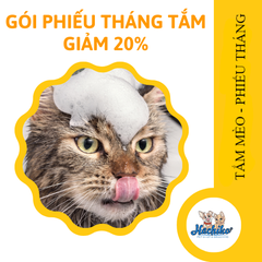 PHIẾU THÁNG Combo trọn gói Tắm cho Mèo GIẢM 20%