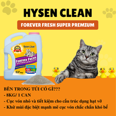 Cát vệ sinh đá núi lửa cao cấp Hysen Clean dành cho Mèo 8kg (Thùng 3 can nhựa)