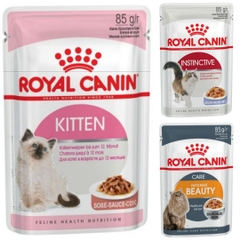 Royal Canin XỐT MÈO 85GR Instinc/Intense/kitten (lốc 12 gói)