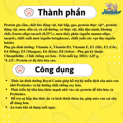 Thức ăn khô Royal Canin dành cho mèo mẹ sau sinh và mèo con từ 1 đến 4 tháng 400gr/2kg/4kg