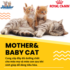 Thức ăn khô Royal Canin dành cho mèo mẹ sau sinh và mèo con từ 1 đến 4 tháng 400gr/2kg/4kg