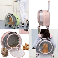 Vali kéo trong suốt cao cấp vận chuyển Chó Mèo cute in bàn chân 43*40*26cm