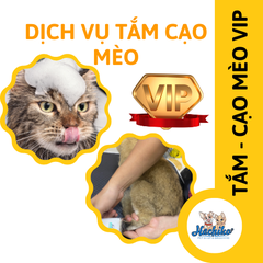 Combo VIP trọn gói Tắm - Cạo cho Mèo