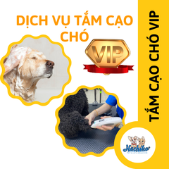 Combo VIP trọn gói Tắm - Cạo cho Chó 