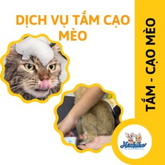 Combo trọn gói Tắm - Cạo cho Mèo