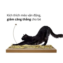 Bàn Cào Móng Mèo Hình Hộp Truyện Tranh FOFOS