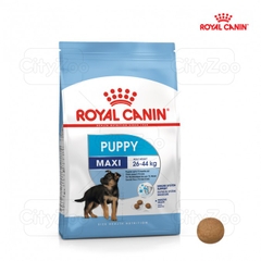 Thức ăn cho chó giống lớn dưới 12 tháng Royal Canin Maxi Puppy