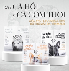 Hạt dầu cá hồi King’s Pet by Bao Anh dành cho chó kén ăn/chó trưởng thành vị cá hồi đẹp da mượt lông