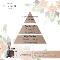 Maison Berger - Tinh dầu đèn xông hương Golden Wheat - 500ml