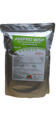 ampro-wsp
