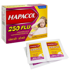 Hapacol 250 Flu DHG (Hộp 24 gói x 1.5g)