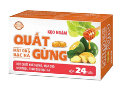 Kẹo ngậm Quất Gừng Essen (Hộp 3 vỉ x 8 viên) (T/120H)