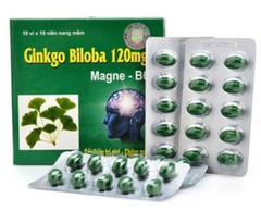 TPBVSK Ginkgo Biloba 120 Thanh Hằng (Hộp 10 vỉ x 10 viên) (T/92H)