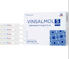 Vinsalmol 5 Vinphaco (Hộp 10 ống x 5ml) (T/90H)