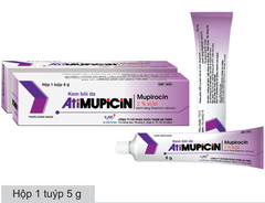 Atimupicin An Thiên (Hộp 01 tuýp x 5g) (T/504H)